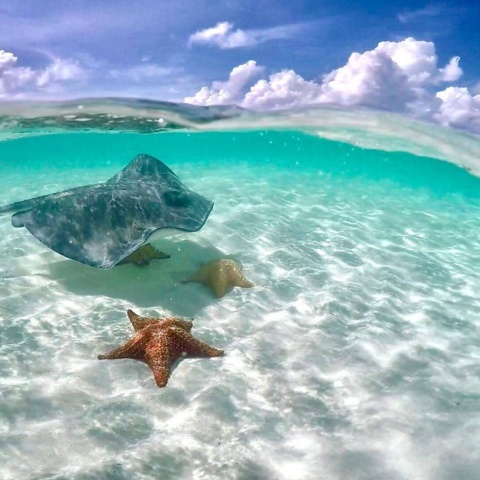 cozumel el cielo 9