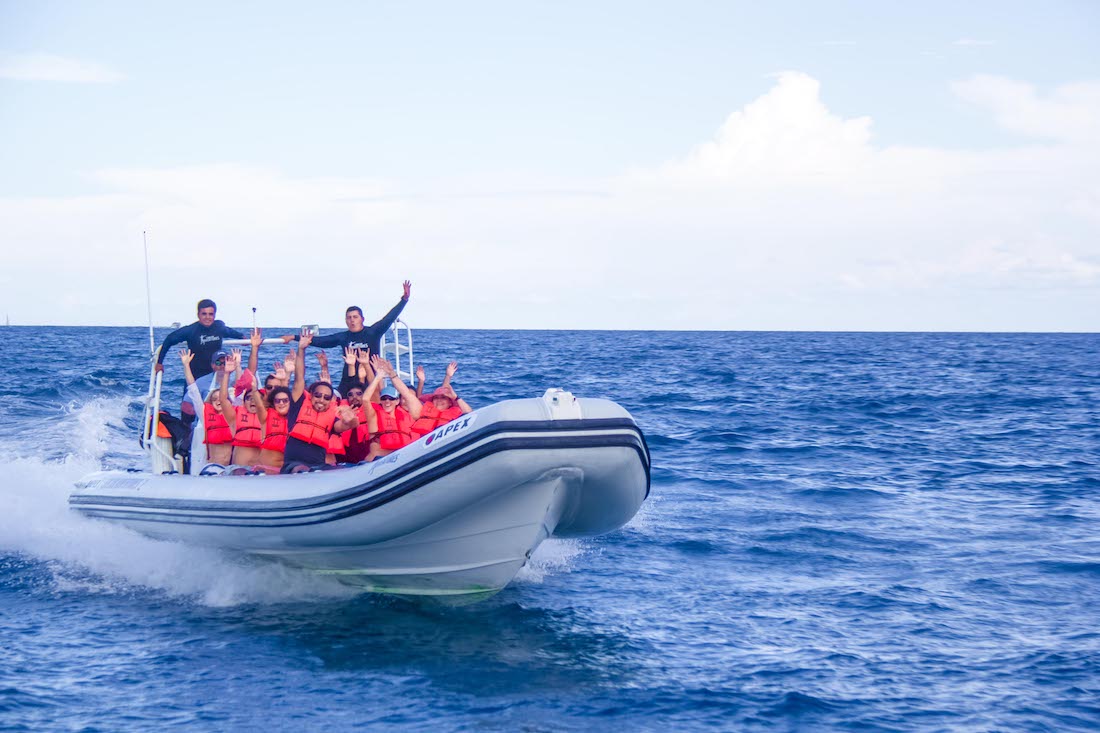 tour-cozumel-el-cielo-sea-safari-3