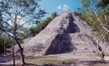 COBA Y AVENTURA CON TORTUGAS