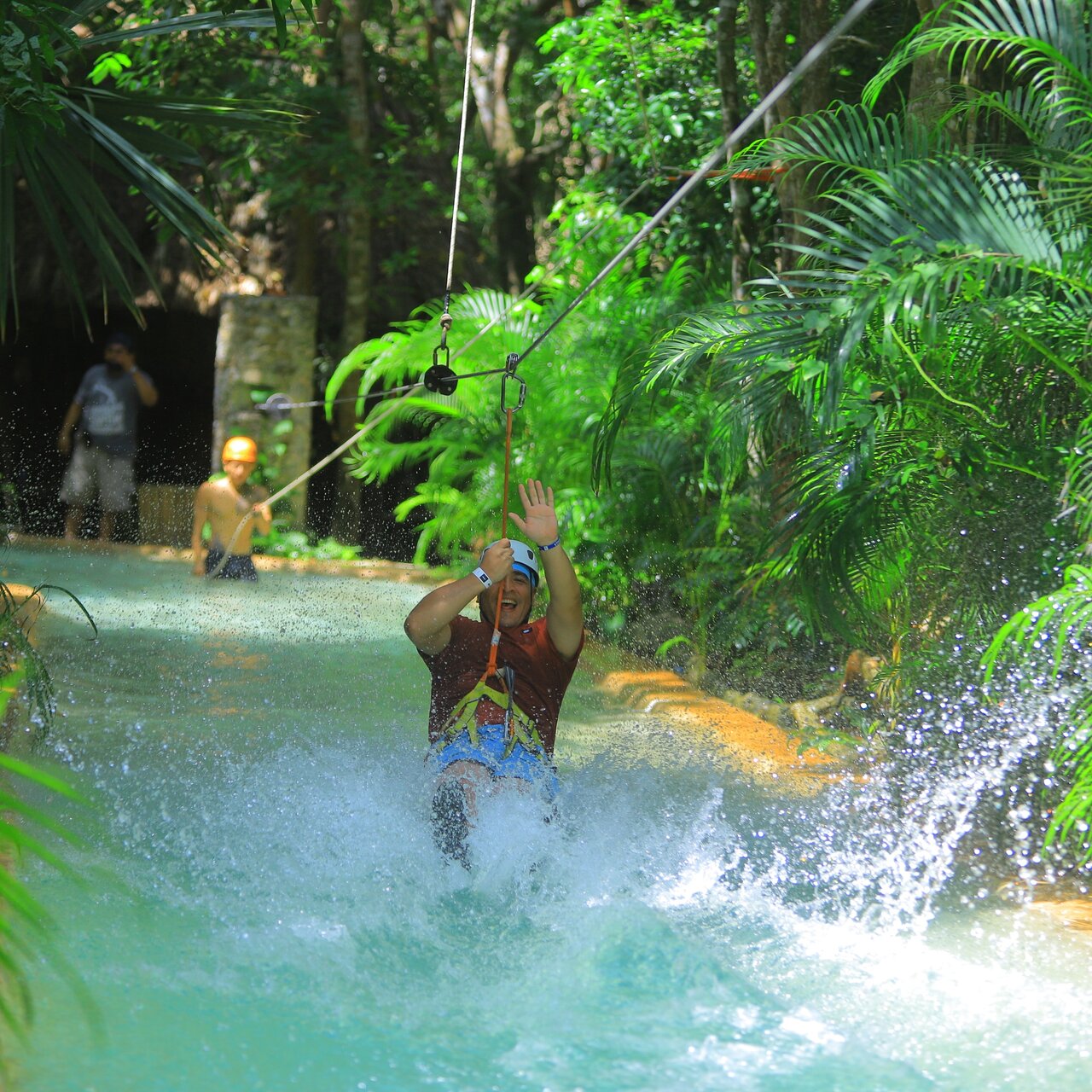 selvatica